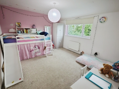 Picture 13